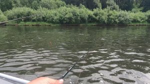 #НаРеке с Кнопочкой .Рыбалка удалась.