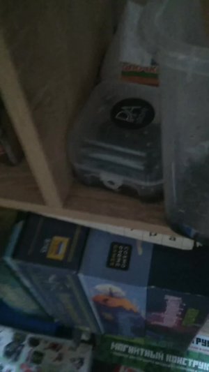 мои милые улитки ахатины