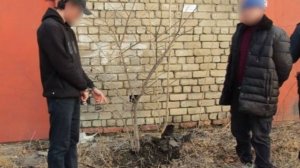 Трое иностранцев пойдут под суд за крупный сбыт наркотиков в Приморье