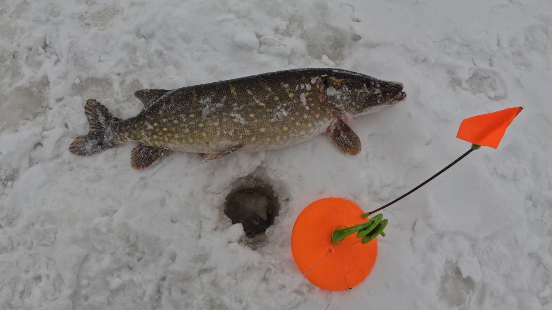 Речка (4) - То дождь, то снег - морозы отступили на 2 дня! смотреть онлайн