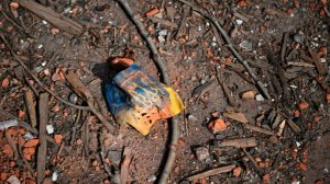 Экс-депутат Бундестага Шмидт: вступление Украины в ЕС развалит союз