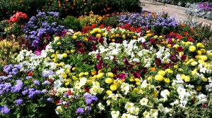 Воистину Бог наш велик