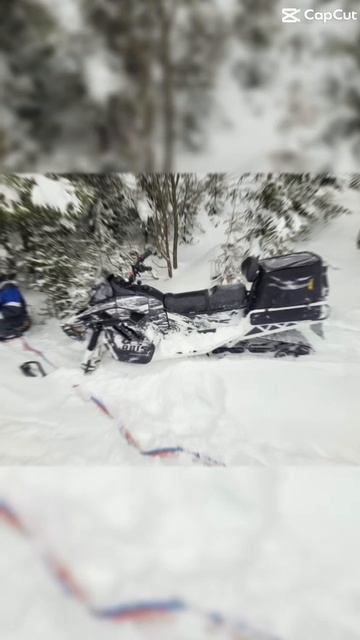 Вперед вместе с Ирбис! смотреть онлайн