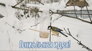 Почему я Раньше до этого не додумался, Как сделать Кормушку для птиц за 2 минуты!