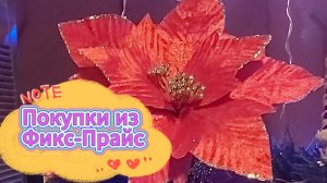 Покупки в Фикс-Прайс_30.01.2026