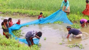 ЛОВЛЯ РЫБЫ СЕТЯМИ ОТ ДЕРЕВЕНСКИХ ЖИТЕЛЕЙ