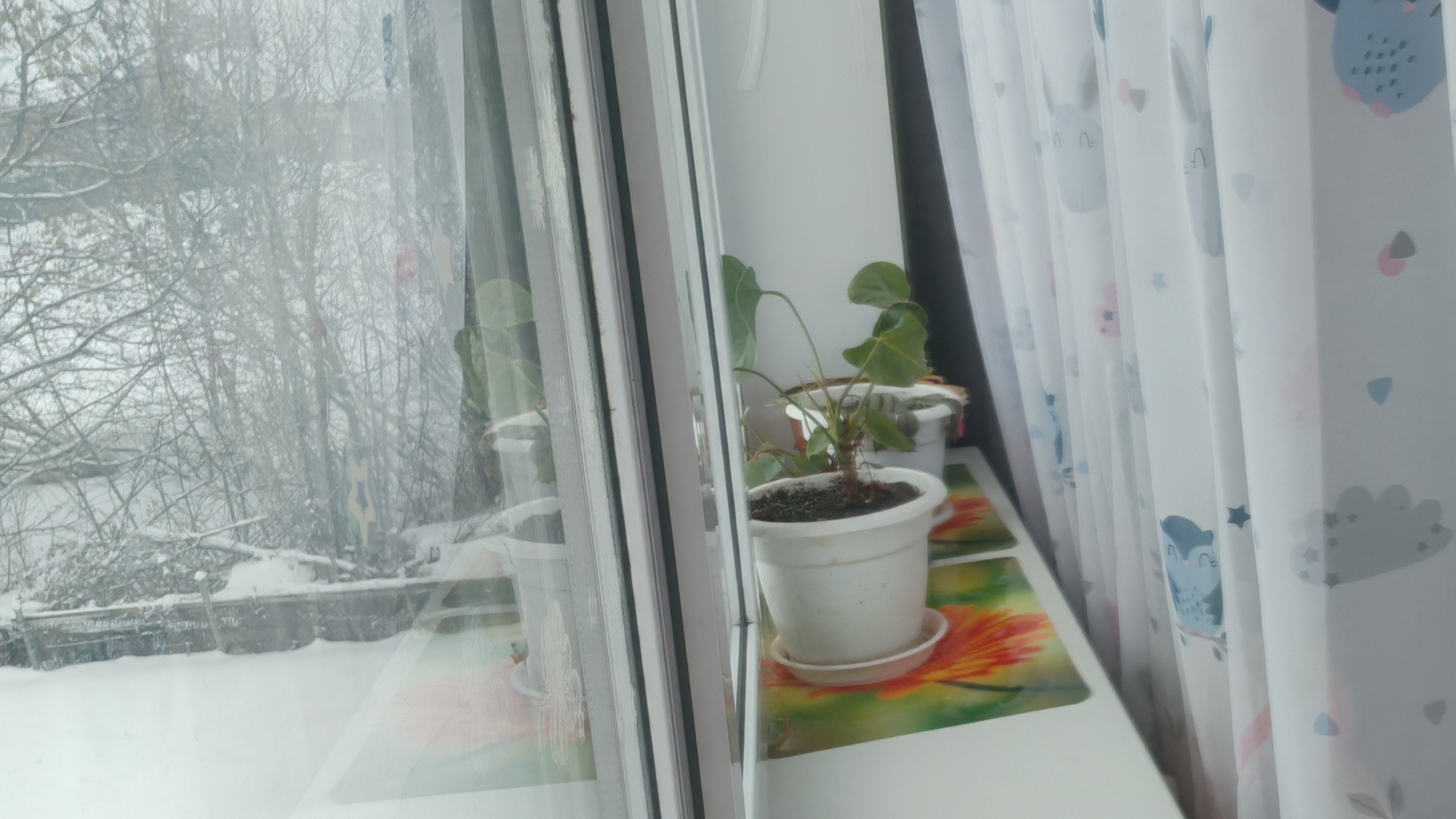 30-01-2026 моя весна смотреть онлайн