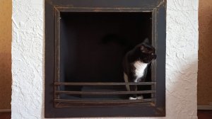 Биокамин своими руками