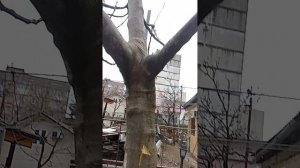 Паркур часть 1