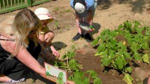 ВидеоЭссе Воспитатель года 2026 Малышева Светлана Петровна