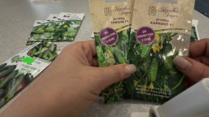 Огурцы. Обзор семян на 2026 сезон.