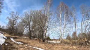 на природе с металлоискателем Весна 2025 шикарные находки