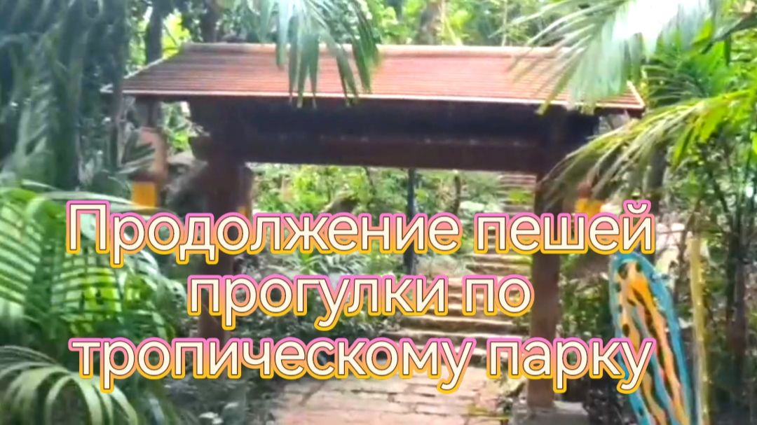 Продолжение пешей прогулки по тропическому парку смотреть онлайн