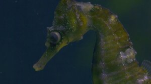 Свирепые королевы 4 серия (документальный сериал, 2020)