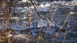 Гороскоп на сегодня. Не упустите свой шанс.