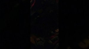 СПБ ЛЕН ОБЛАСТЬ   ОСЕННЯЯ НИРВАНА РЕПА video_2026-01-30 - AIN SOF TREE  8