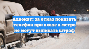 Адвокат: за отказ показать телефон при входе в метро не могут выписать штраф