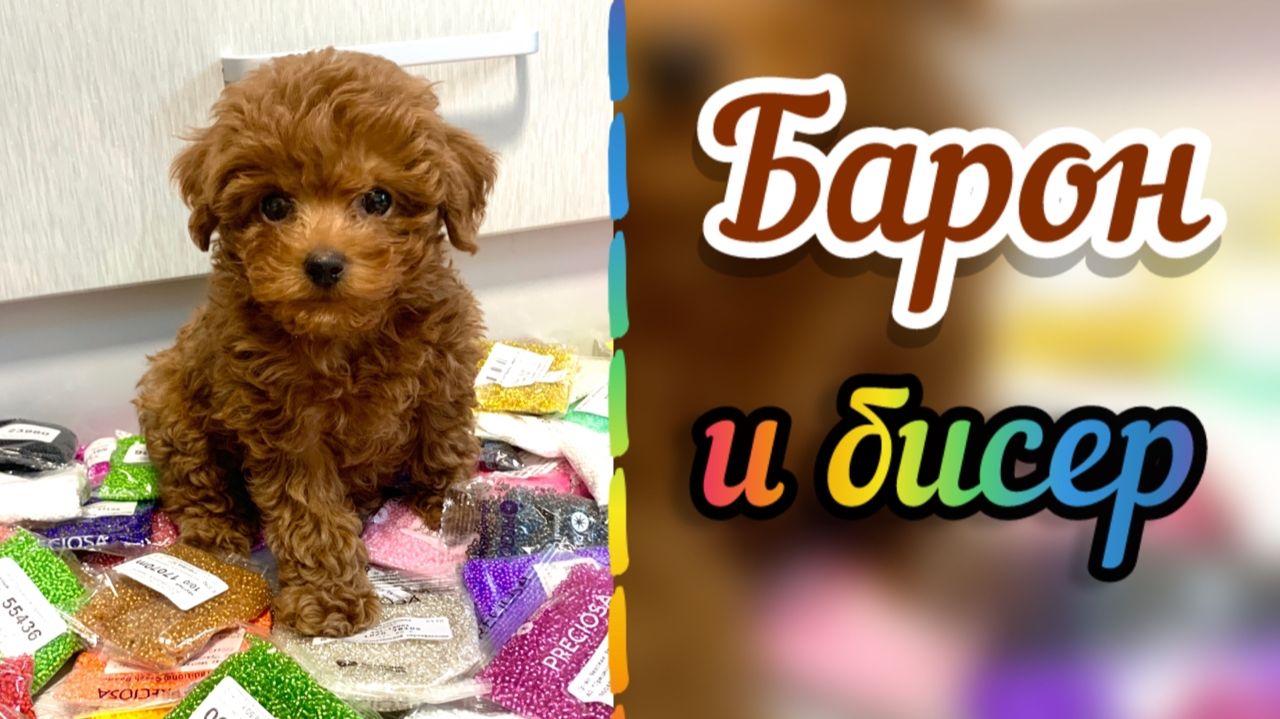 Барон и бисер / Что сделать из бисера / Закупка бисера / Объёмное бисероплетение / Бисеромания / / смотреть онлайн