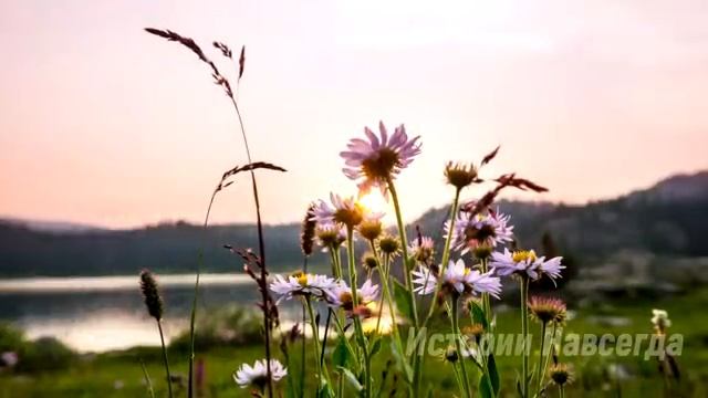 Арина, проснувшись ночью, услышала «Дочь должна знать правду». Но едва узнав главное… смотреть онлайн