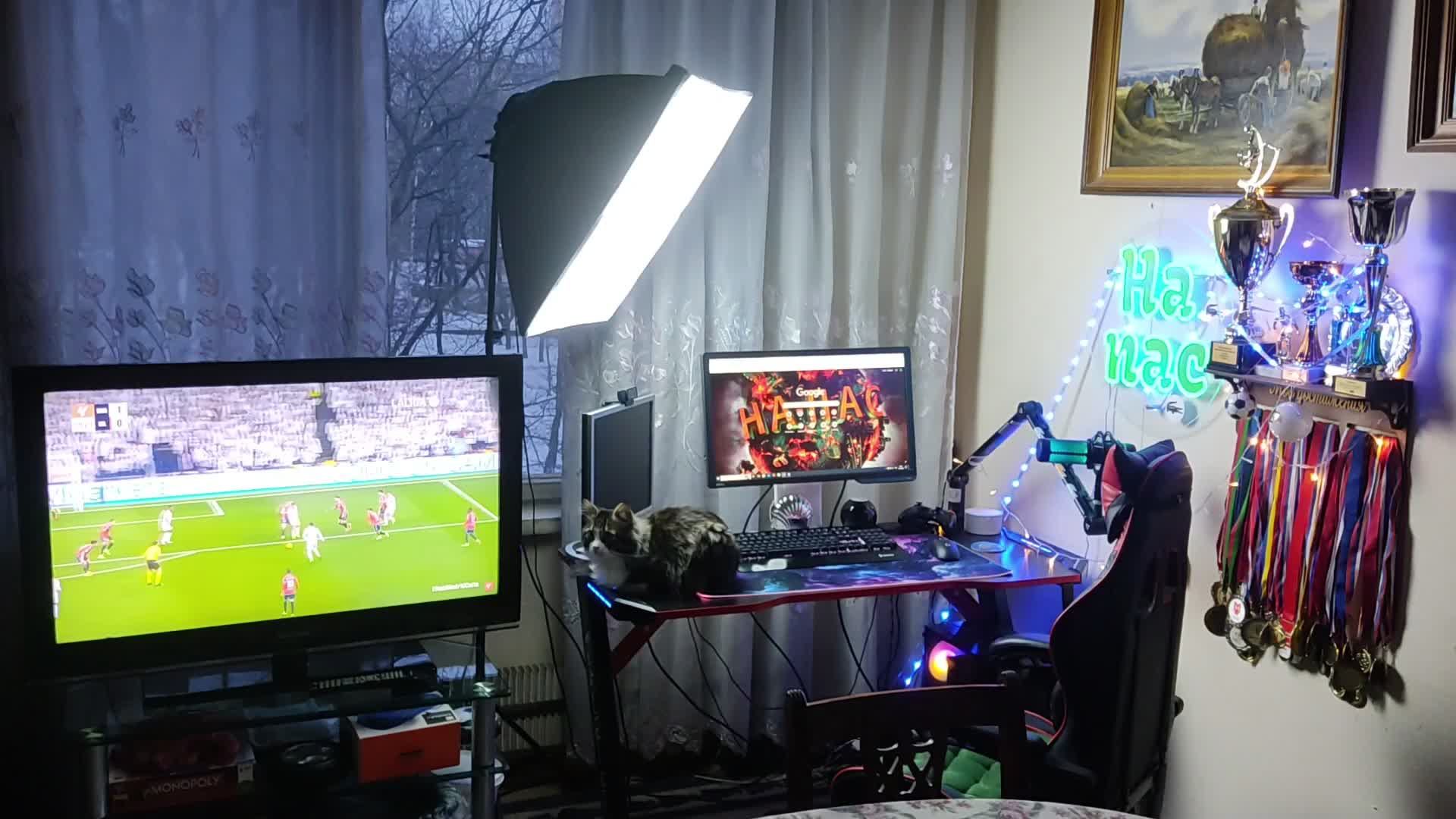 День бегства от стресса | ActiveMatter смотреть онлайн