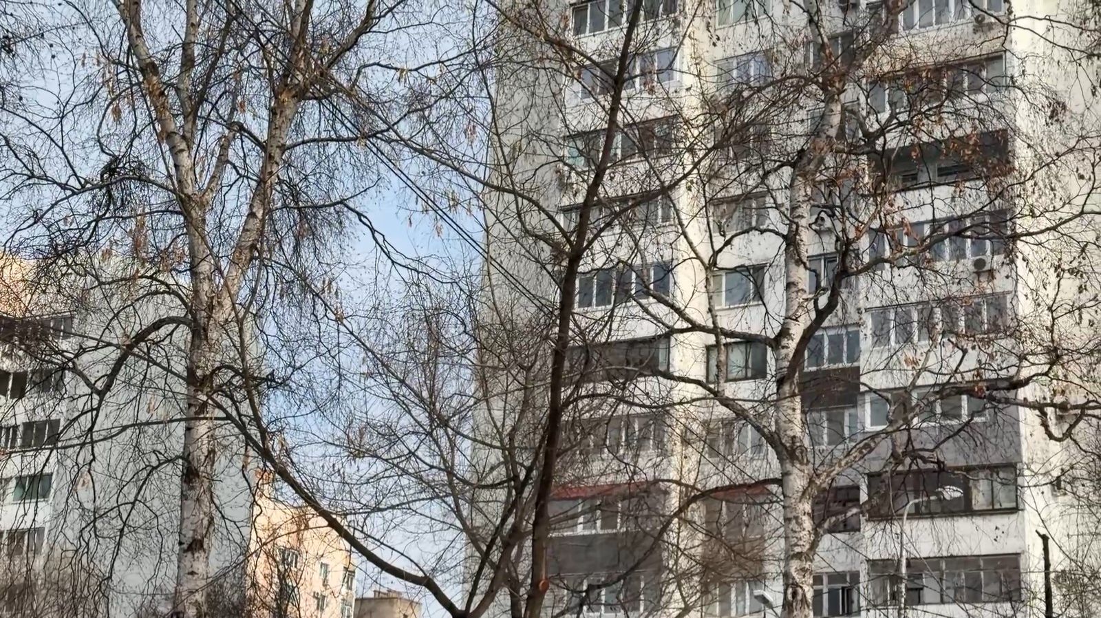 🌡 Без погодных сюрпризов завершится январь в Уссурийске смотреть онлайн