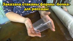 Обзор покупок с маркетплейсов: стаканы одноразовые, препарат "Юниформ", семена, беруши