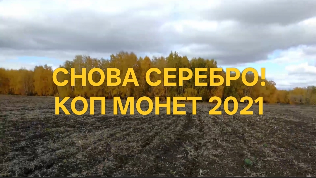 СНОВА СЕРЕБРО! КОП МОНЕТ С МЕТАЛЛОИСКАТЕЛЕМ 2021, КОП 2021 #поискмонет #монеты #equinox #52 смотреть онлайн