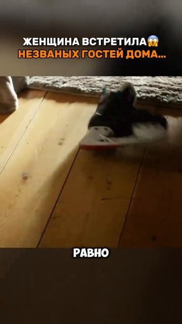 Краткий пересказ фильма 2026 смотреть онлайн