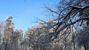 Февраль (авторская песня)