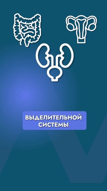 ТАК ваши стопы УБИВАЮТ внутренние органы! #Здоровье #Стопы #Органы