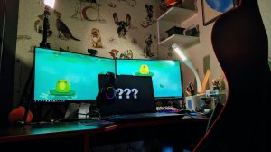 ЖИЗНЬ ВНЕ СТИМА. Как проходит обычный день стримерши?