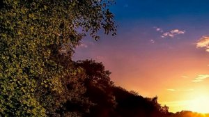 Украинская народная песня "Цвіте терен"