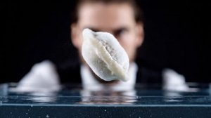 "Физика идеального ужина"