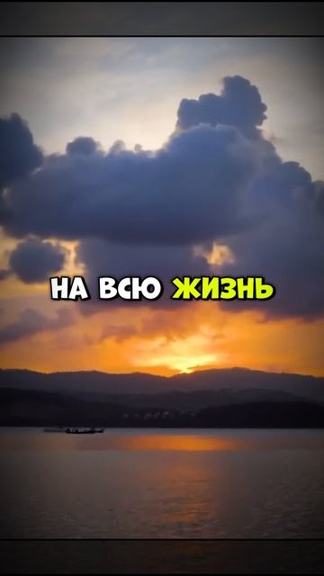 Когда ты полностью доверяешь человеку смотреть онлайн