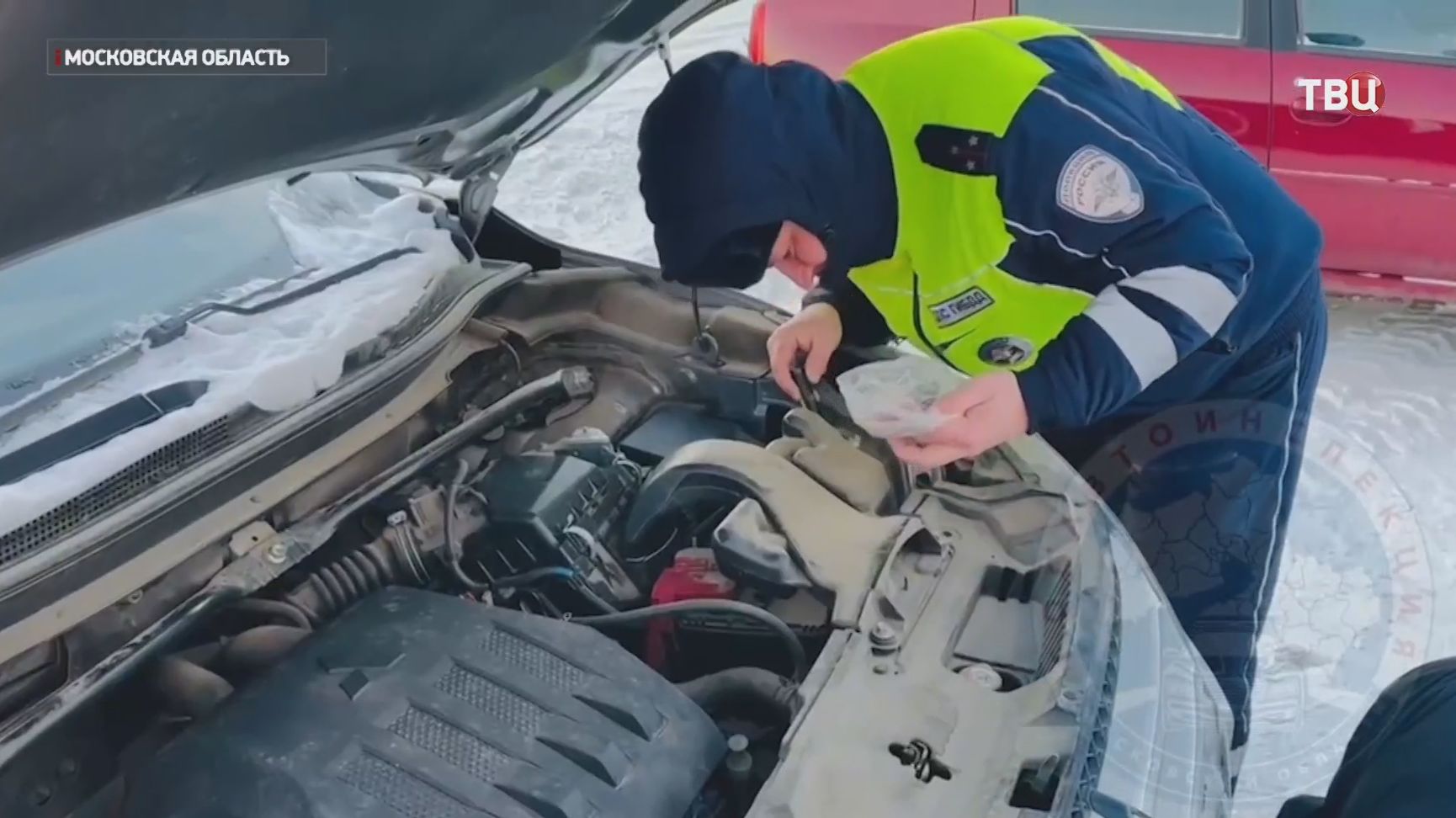 Инспекторы ДПС спасли застрявшего под капотом кота в Подмосковье смотреть онлайн