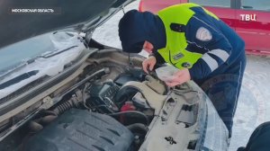 Инспекторы ДПС спасли застрявшего под капотом кота в Подмосковье