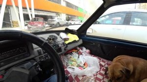 Путешествие до города Балаково