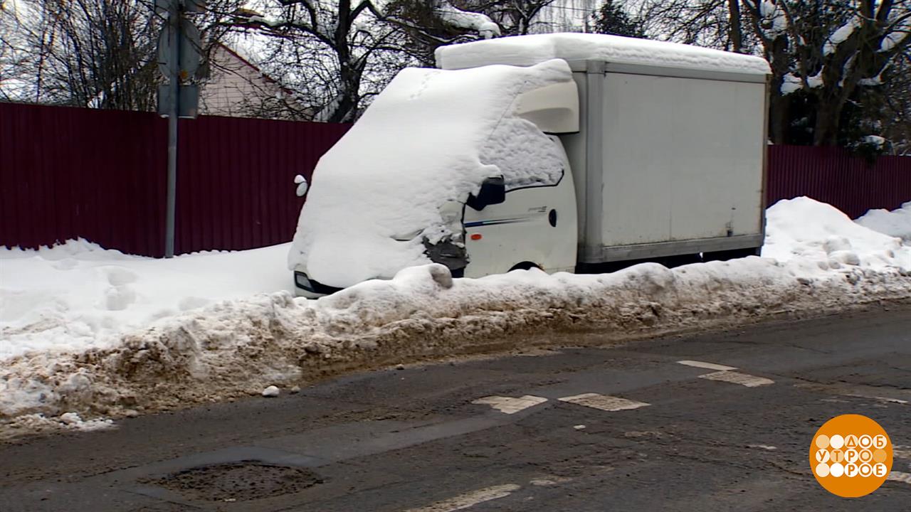 "Подснежник", ты чей будешь? Доброе утро. Фрагмент выпуска от 30.01.2026 смотреть онлайн
