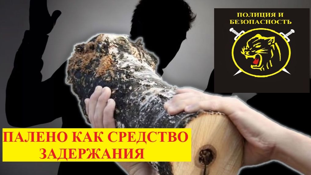 Метким броском полена, "Добрый самаритянин", помог ДПС, задержать пьяного лихача. смотреть онлайн