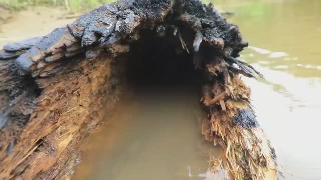 ЛОВЛЯ РЫБЫ В ДИКОЙ ПРИРОДЕ