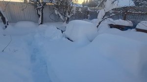 Сильные морозы. Как помочь пчёлам.