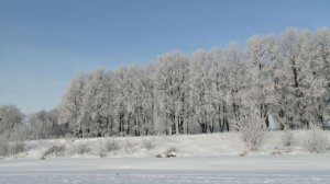 Афанасьевские морозы ударили по Москве, Подмосковью и Хабаровскому краю