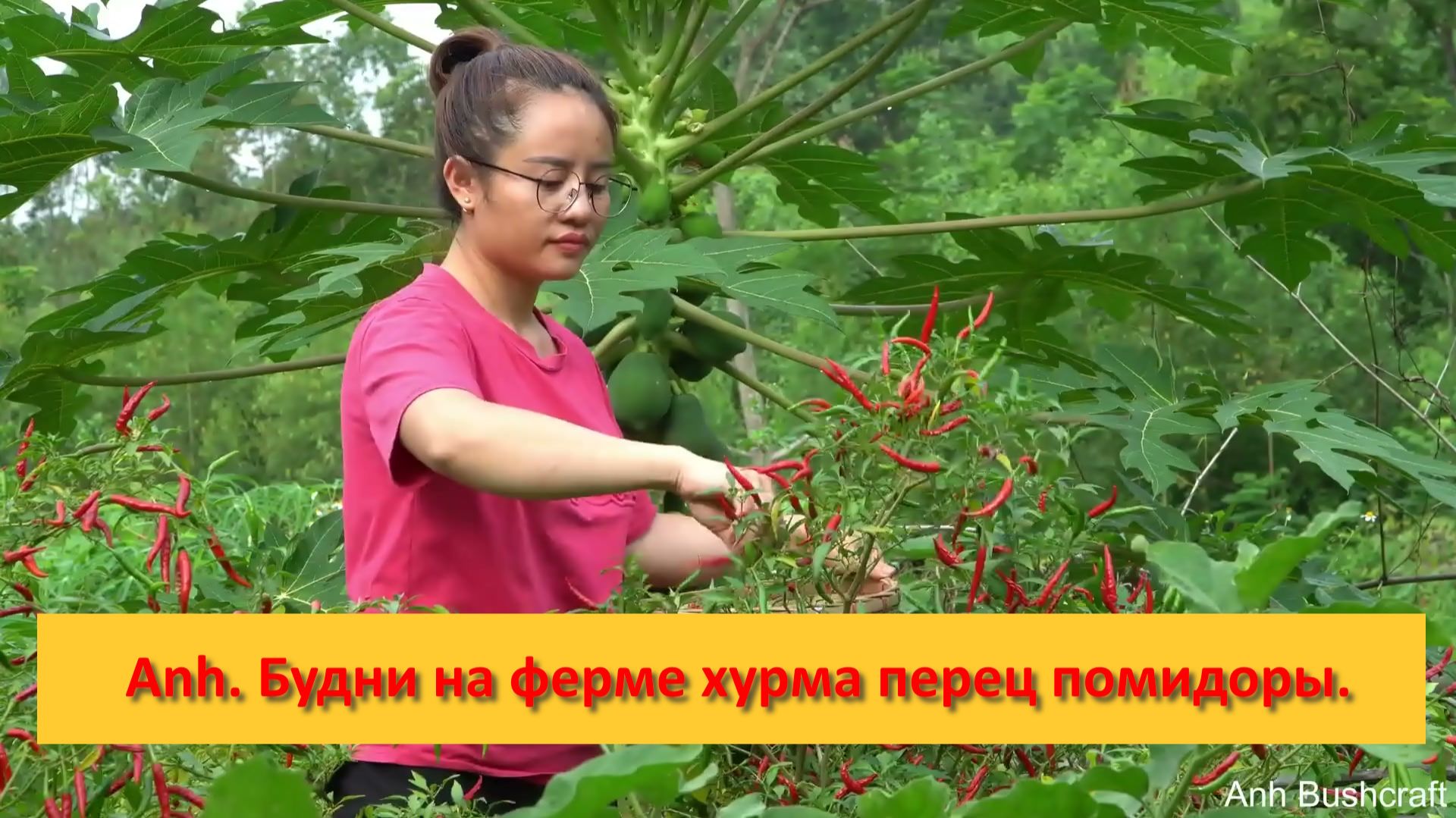 Anh Bushcraft. Будни на ферме хурма перец помидоры. смотреть онлайн