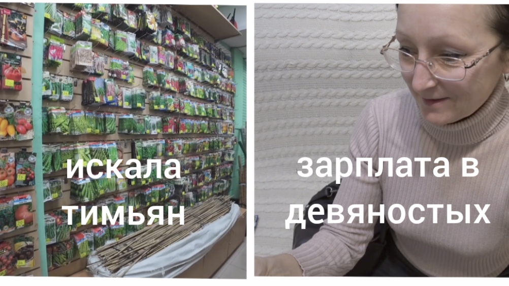 Январь 2026 года. В Фазенду за тимьяном. Зарплата и жизнь в девяностых. По мотивам посещения ПФР. смотреть онлайн