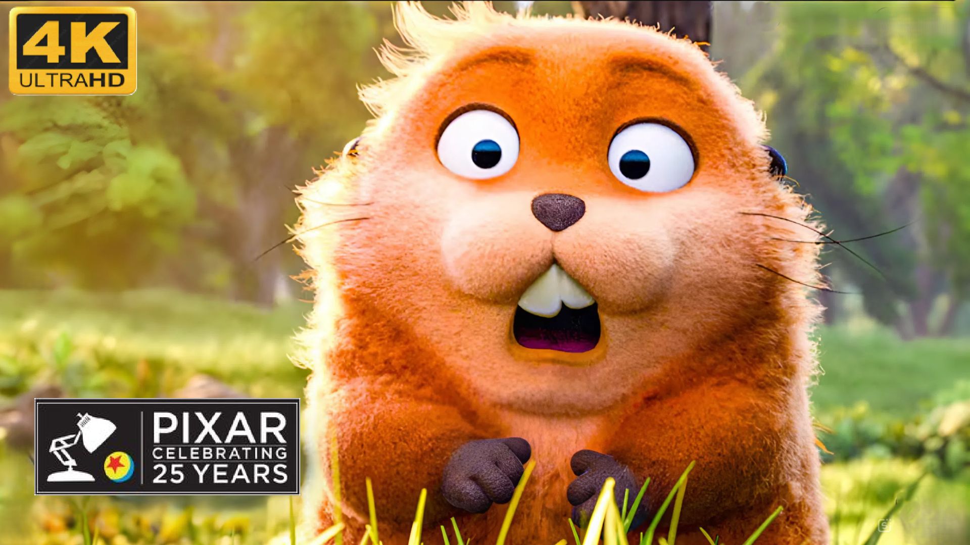 🦫 Прыгуны🦫 (4К Дубляж) смотреть онлайн