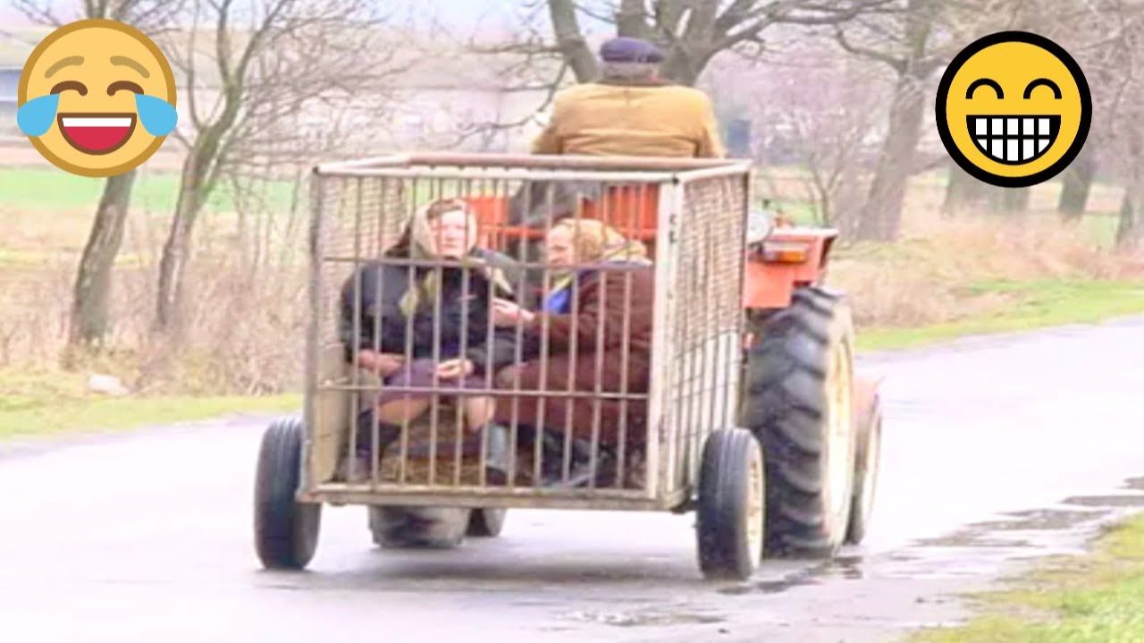 #смешныевидео -816 смотреть онлайн