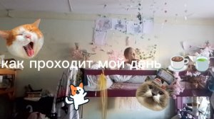 как проходит мой день 🍵☕💚