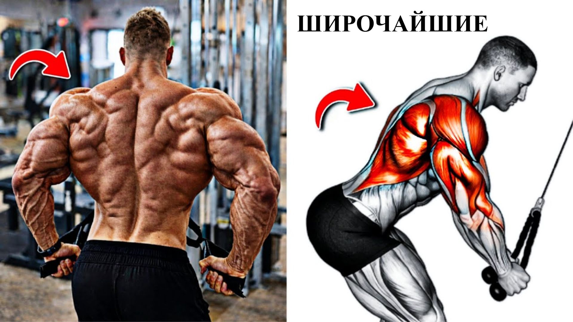 8 Лучших Упражнений Для Спины - Которые Быстро Построят Широкую и Сильную Спину 🔥 смотреть онлайн