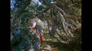 Сказка Морозко. Глава 4. Приключения Иванушки.