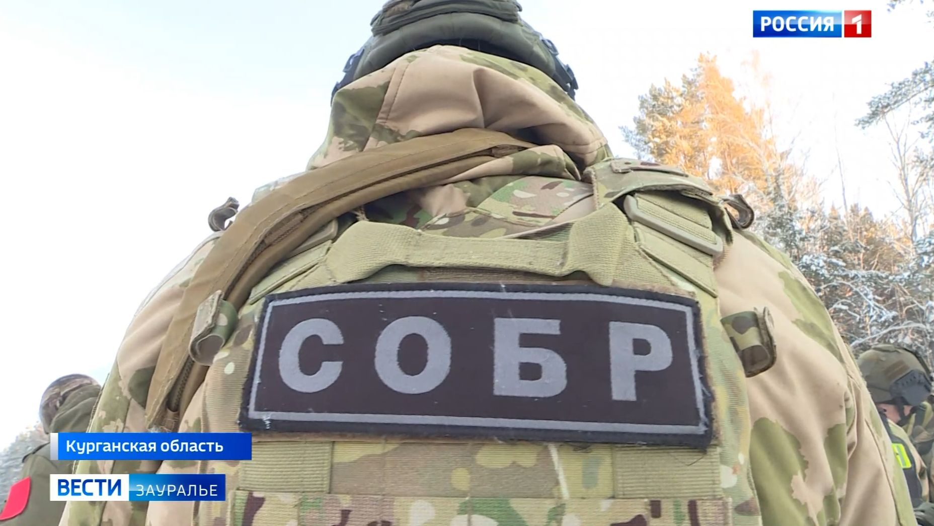 Сегодня исполняется 33 года с даты образования Курганского специального отряда быстрого реагирования смотреть онлайн